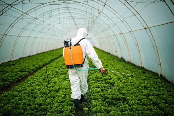 Pest Control Cost in Natalbany, LA