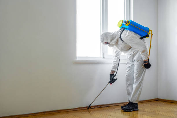 Flea Control Services in Natalbany, LA