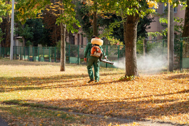Best Insect Control  in Natalbany, LA