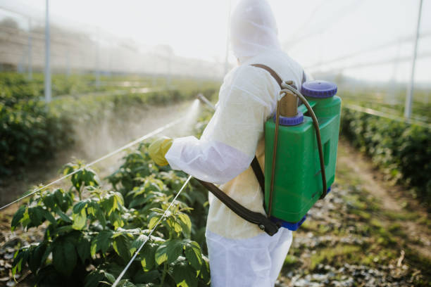 Best Best Pest Control Companies  in Natalbany, LA